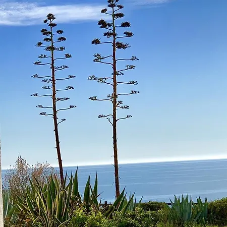 Tatil Evi Charming House In + Pool Carvoeiro (Lagoa)