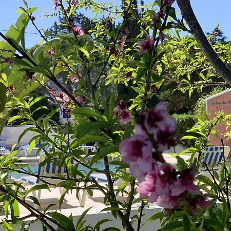 Charming House In + Pool * Carvoeiro (Lagoa)