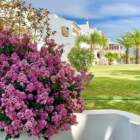 Casa de Férias Charming House In + Pool Carvoeiro (Lagoa)