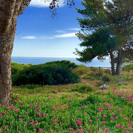 Casa de Férias Charming House In + Pool Carvoeiro (Lagoa)