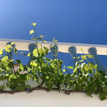 Charming House In + Pool