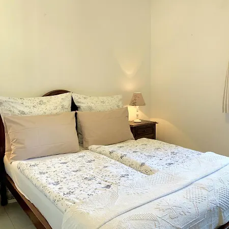 Charming House In + Pool Carvoeiro (Lagoa)