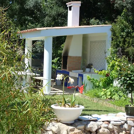 Charming House In + Pool Carvoeiro (Lagoa)