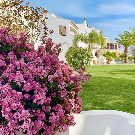 Charming House In + Pool Hébergement de vacances
