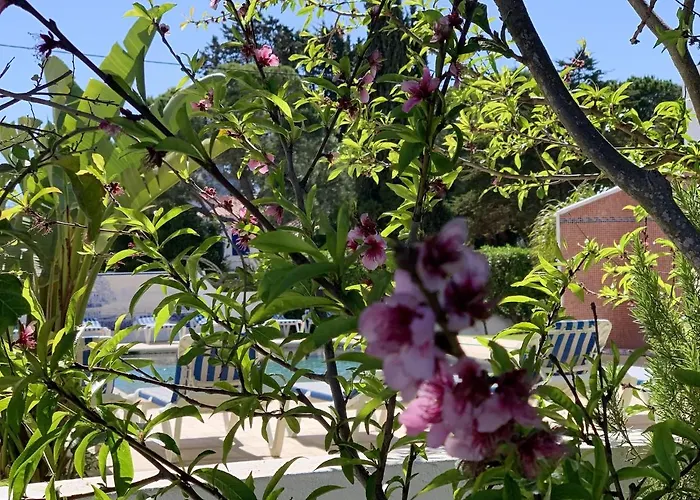 Charming House In + Pool * Carvoeiro (Lagoa)