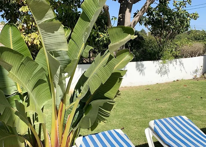 Charming House In + Pool Casa vacanze *