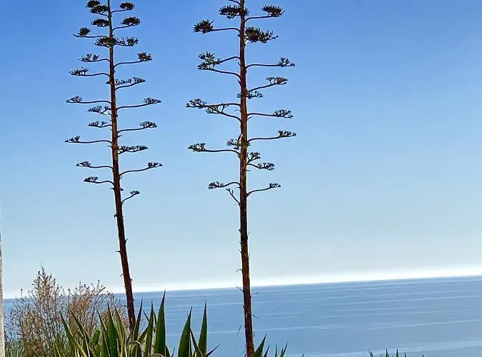 Casa vacanze Charming House In + Pool Carvoeiro (Lagoa)