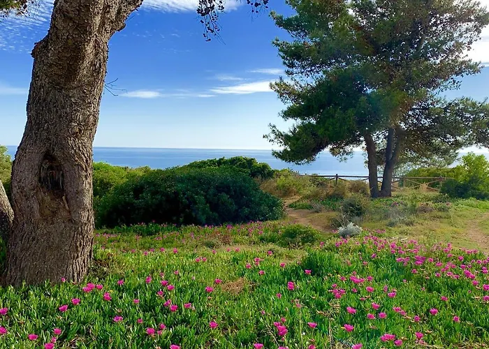 Casa vacanze Charming House In + Pool Carvoeiro (Lagoa)